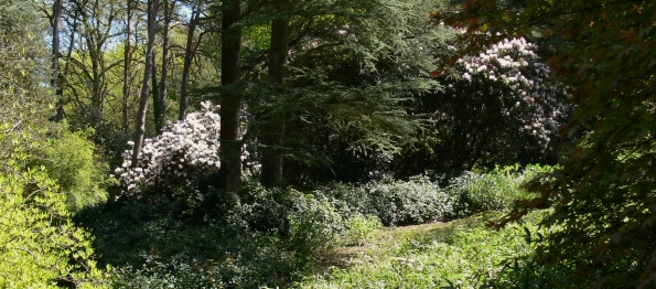 Bois des Moutiers (211) Mai 2012